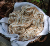 Natural Colored Cottons